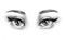 Eyes with extra long lashes isolated sketch. Eyes with beautiful thick eyebrows. Hand drawn fashion illustration. Black and white