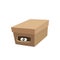 Eyes Inside Cardboard Box/Illustration vector