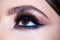 Eyes with make up close up. Makeup closeup. Eyebrow long eyelashes. Beauty salon. Beautiful macro female eye with long