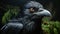 Eyes of Mystery: Photorealistic Black Raven Closeup