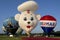 Eyes to the Skies Hot Air Balloon Festival, June 30, 2018 in Lisle, IL