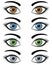 Eyes of Woman Set