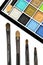 Eyeshadow color palette and brushes