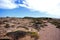 Eyre Peninsula, Atop the Cliffs