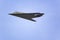 F-117A Nighthawk Stealth Jet Fighter