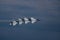 F-16C\\\'s of the US Airforce Thunderbirds at the Cleveland National Air Show 2023