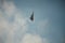 F-22 Raptor, stealth aircraft over Iran