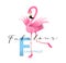 F is for Flamingo Alphabet Teaching English Card