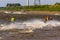 F1, F2, F3 water ski at Hanseatic Festival of Watersports, Kings Lynn Quay, River Great Ouse, Norfolk, UK 27 May 2023