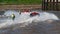 F1, F2, F3 water ski at Hanseatic Festival of Watersports, Kings Lynn Quay, River Great Ouse, Norfolk, UK 27 May 2023