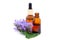 Faassen catnip essential oil and extract in a bottles with leaf and flowers on  white