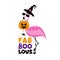 Fab Boo Lous - funny flamingo in witch hat and with candy, Jack o lantren and spider.