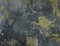 Fabric Background Texture with Surrealistic Picture of Corrosion