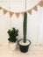 Fabric flag strips hanging on folding wall with Little cactus flowerpot which decorate for party