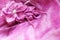 Fabric flower and beads on pink background