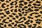 Fabric - leopard skin