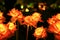 Fabric orange and yellow rose flowers with abstract background at night. artificial flowers
