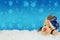 Fabric reindeer doll on white snow with abstract background