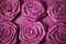 Fabric Roses