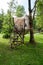 Fabric tents hung on a tree at a campsite in the woods Kranjska Gora, Slovenia -