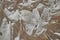 Fabric texture, soft, low-contrast, slightly toned conceptual image of white fabric prepared in plaster solution, low warm toning