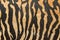 Fabric with tiger stripes pattern background