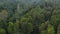 Fabulous aerial footage of wild tropical rainforest with banana trees and palm woods making dense thick. Drone camera