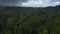 Fabulous aerial footage of wild tropical rainforest with banana trees and palm woods making dense thick. Drone camera