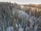 Fabulous aerial view to the fir winter forest. Ruskeala  Karelia