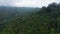 Fabulous aerial view of tropical rainforest with banana trees and palm woods in forest thicket after rain. Drone flying