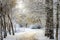 Fabulous beautiful landscape winter snowy park forest.