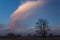 A fabulous evening cloud, a tree without leaves and the moon