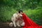 Fabulous image, dark-haired brunette attractive lady in short white dress, long red scarlet cloak lying on ground sits