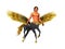 Fabulous image. Pegasus - centaur man with gold wings on the white background .