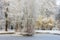 Fabulous landscape of winter forest. Frozen pond