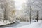 Fabulous landscape of winter forest. Frozen pond