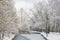 Fabulous landscape of winter forest. Frozen pond