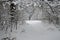Fabulous landscapes of winter snow-covered forest after heavy snowfall