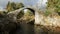 The fabulous old packhorse bridge in Carrbridge in the Cairngorms National Park is the oldest stone bridge in the Highlands of Sco