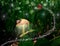 Fabulous picture. A snail on a glowing mushroom, fireflies and a flying sparkling butterfly