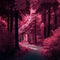 Fabulous pink forest with winding path illustration