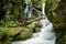 A fabulous waterfall in an emerald canyon from moss and lichen