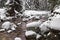 Fabulous winter forest and river under the snow.