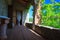 Facade of balcony overgrown by green