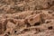 Facade carving in the stone detail in Petra