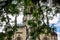 Facade of a gothic cathedral in a frame of trees