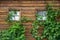 Facade of a log wall with windows. Russian architecture