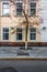 Facade of old yellow building in Moscow on the street Ulitsa Bol'shaya Yakimanka, 4-6. Young tree in front of house