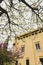 Facade of a secluded modern monastery with fences seen among the pretty trees in blossom