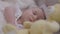 Face of calm cute newborn girl lying in cozy bed with toy indoors. Close-up portrait Caucasian infant resting with